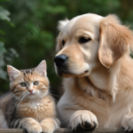 cat and a dog